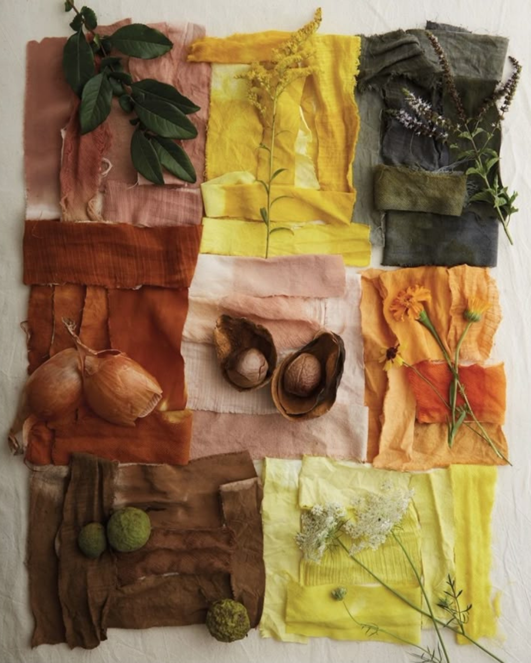 ORGANIC PLANT DYES. HERE'S HOW WE DO IT...
