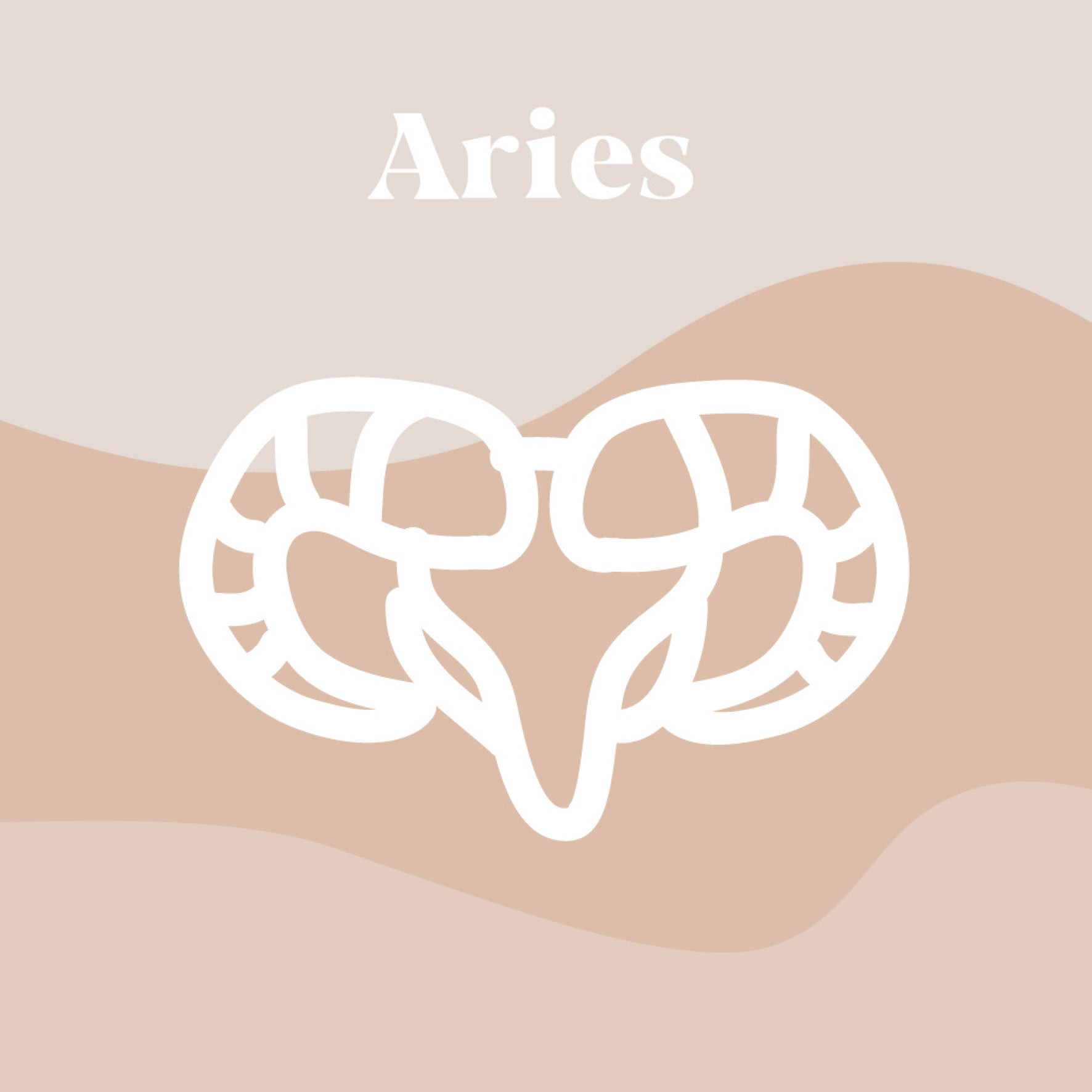 Zodiac Sign Collection: 10 Facts about Aries