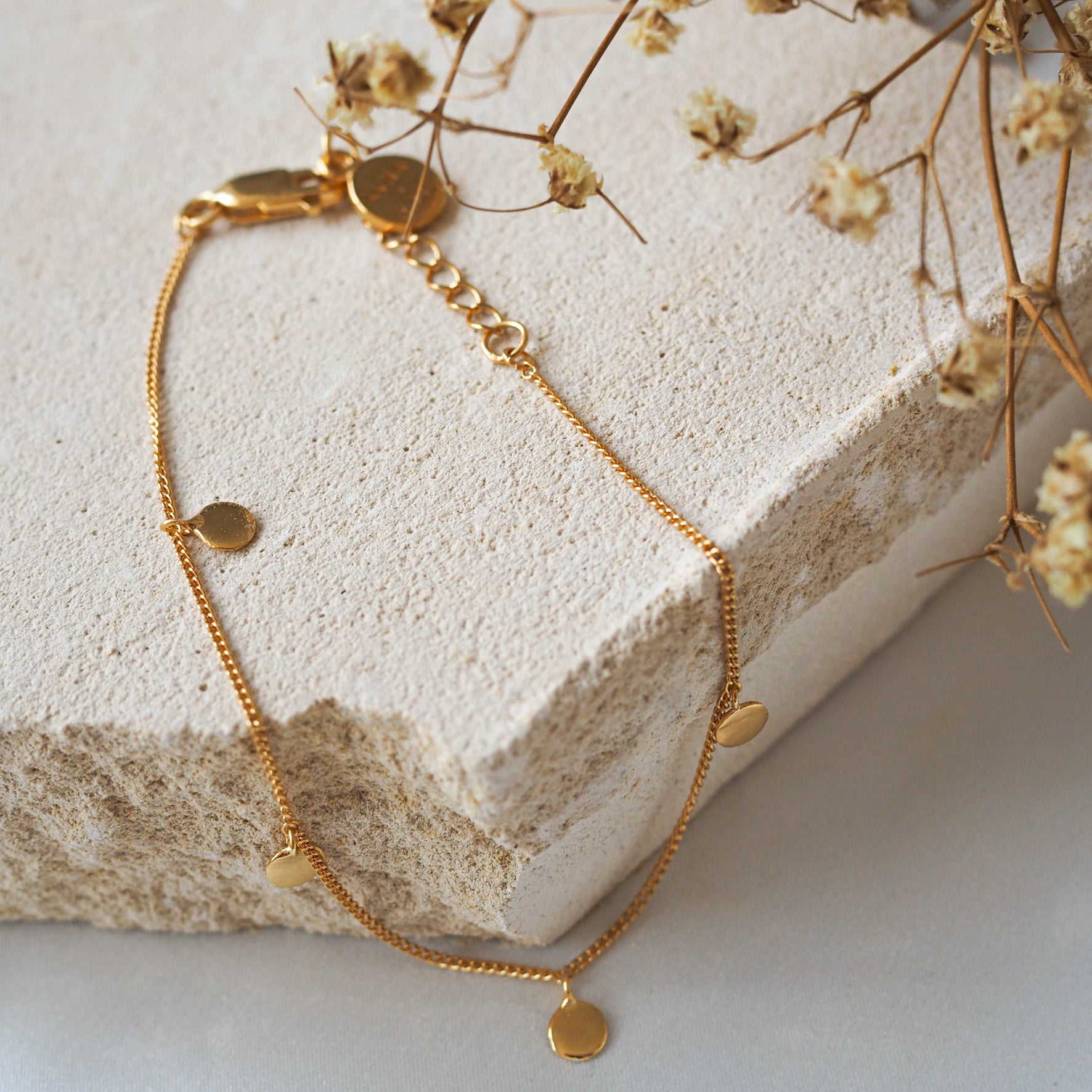 A delicate gold bracelet with small circular charms, displayed on beige stone with dried flowers.