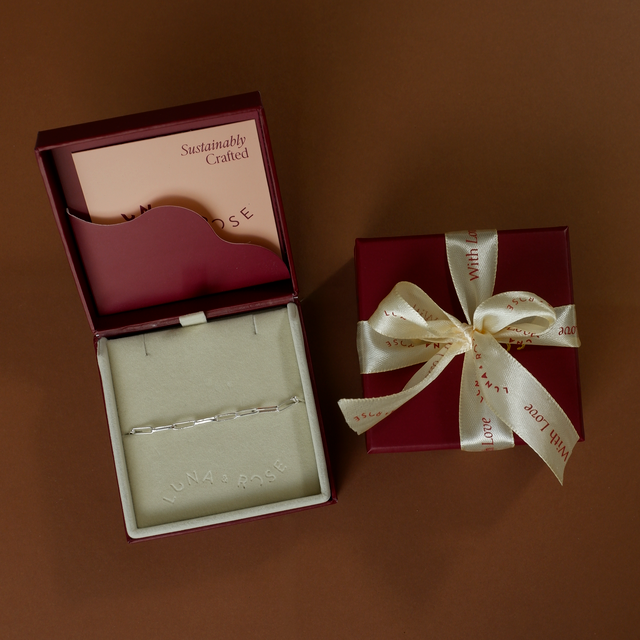 Washington Paper Clip Bracelet - Silver in packaging luna and rose