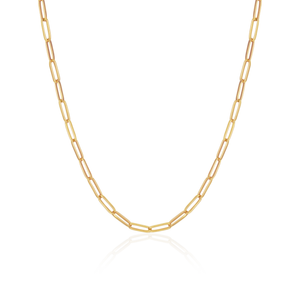 Washington Paper Clip Chain Necklace - Gold