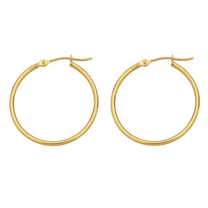 a pair hoops earrings gold in white background