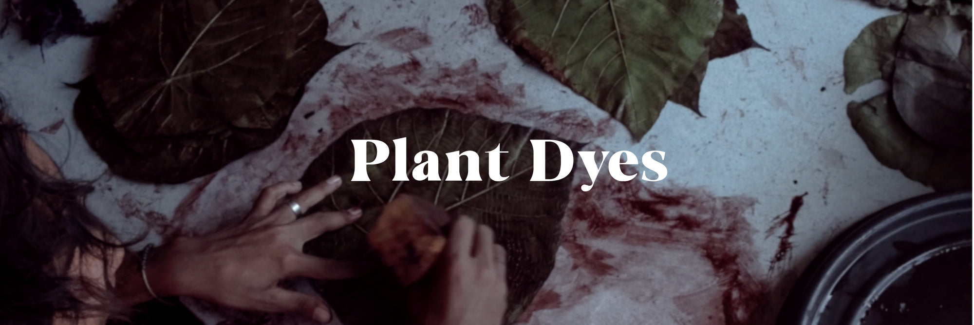 Luna & Rose use Organic Plant Dyes