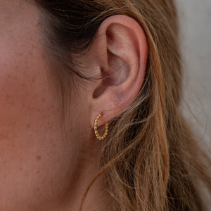Central Park Dotty Earrings 10mm - Goud