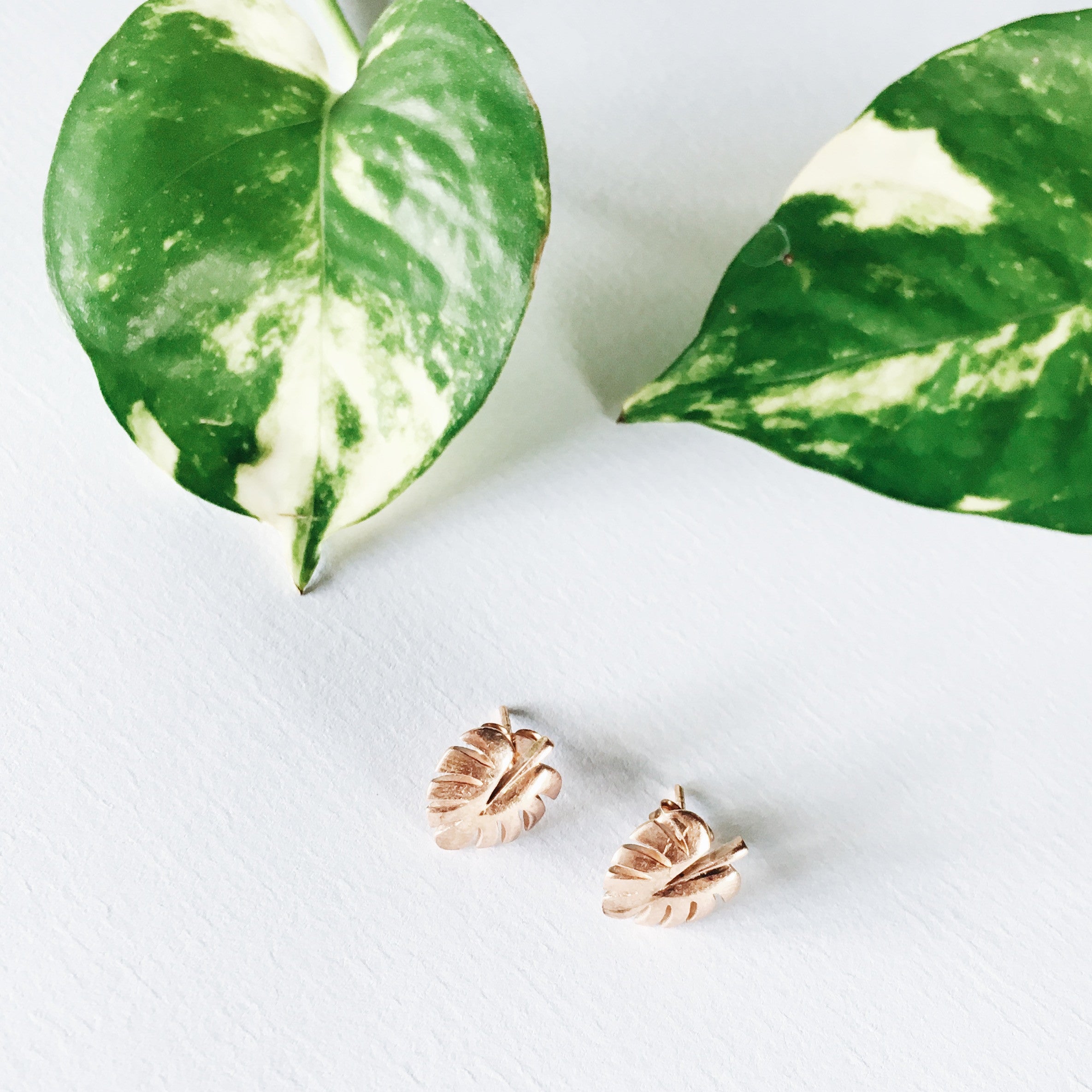 Luna & Rose - Never Leaf Me Earrings - Silver