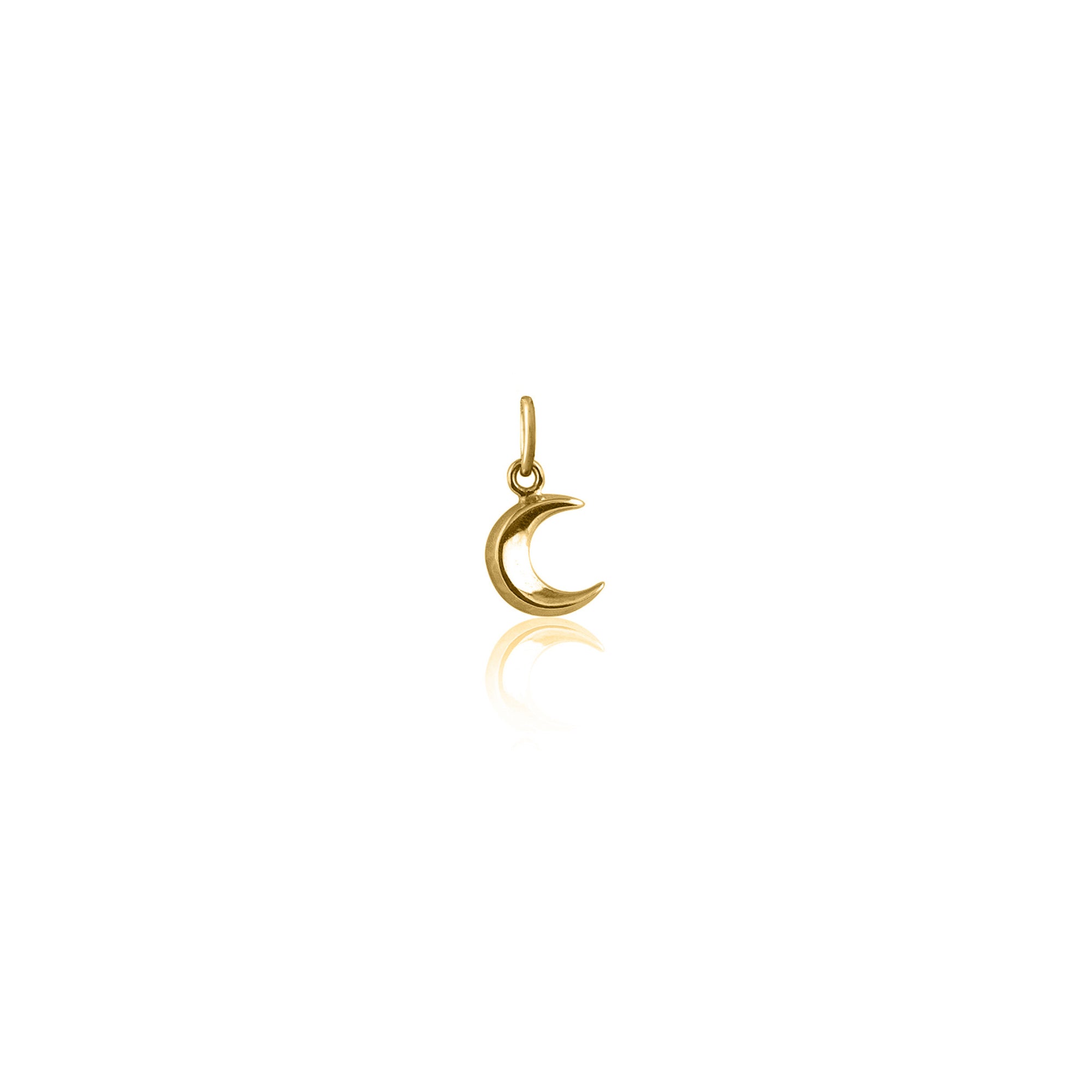 La Luna Rose To The Moon and Back Charm - Gold