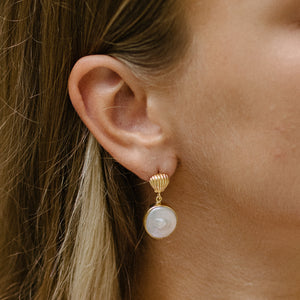 Clam Shell Pearl Earrings - GOLD